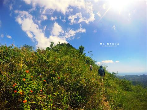 MT. NAUPA : (Updated 2019) Climbing the Almost Perfect Cone .